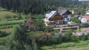 Гостиница Pensiunea Casa Elvira  Вама